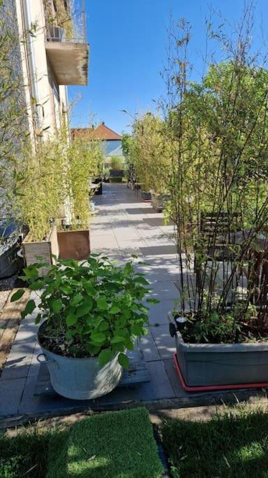 Ferienwohnung Gite La Passerelle Ostheim Exterior foto